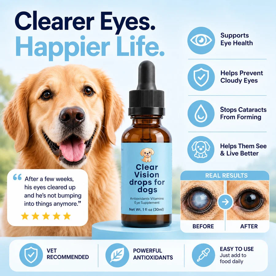 Help Them Keep Seeing The Life They Love