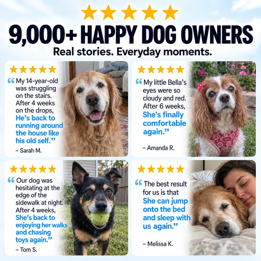 Help Them Keep Seeing The Life They Love