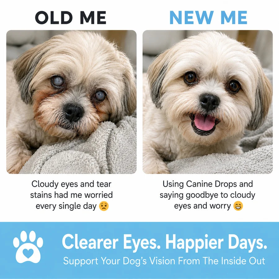 Help Them Keep Seeing The Life They Love