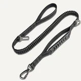 Bungee Leash